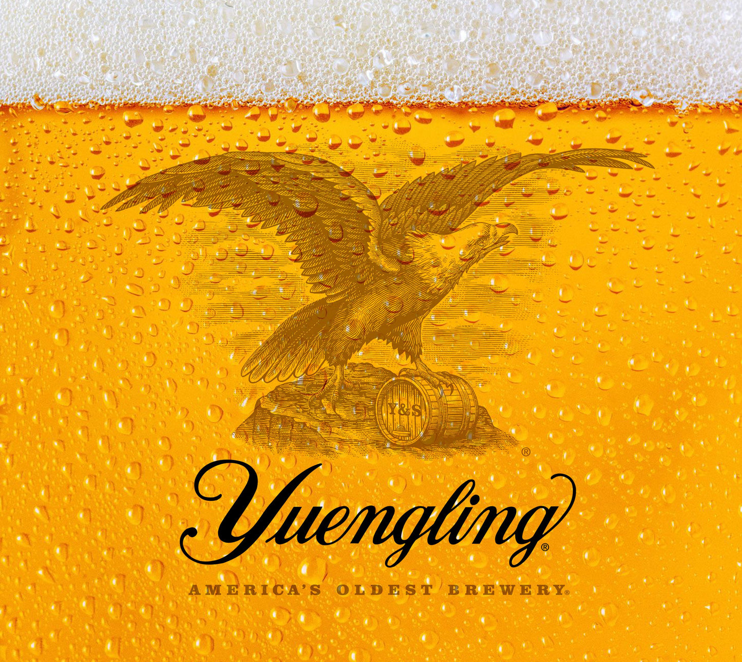 Yuengling Kids Tumbler